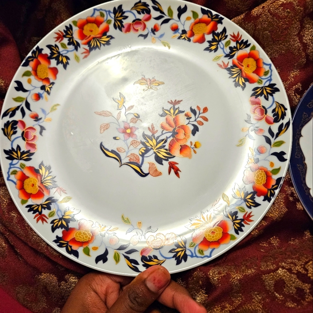 Dinner Plate 🍽